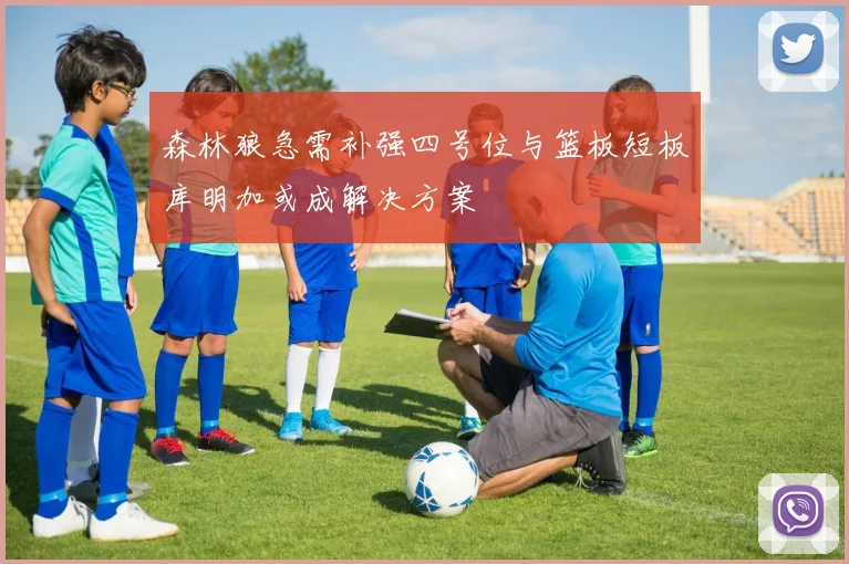 森林狼急需补强四号位与篮板短板库明加或成解决方案