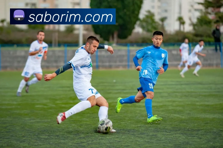 赛事专题整合